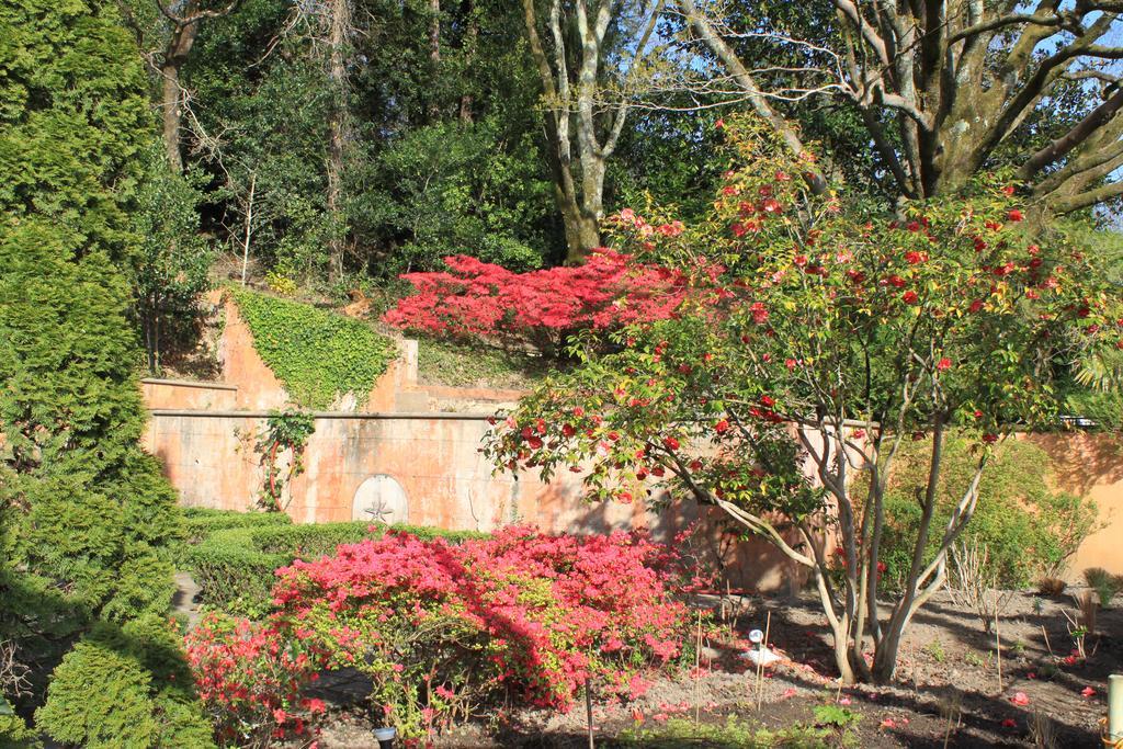 Hotel Chantaco Golf & Wellness Saint-Jean-de-Luz Buitenkant foto